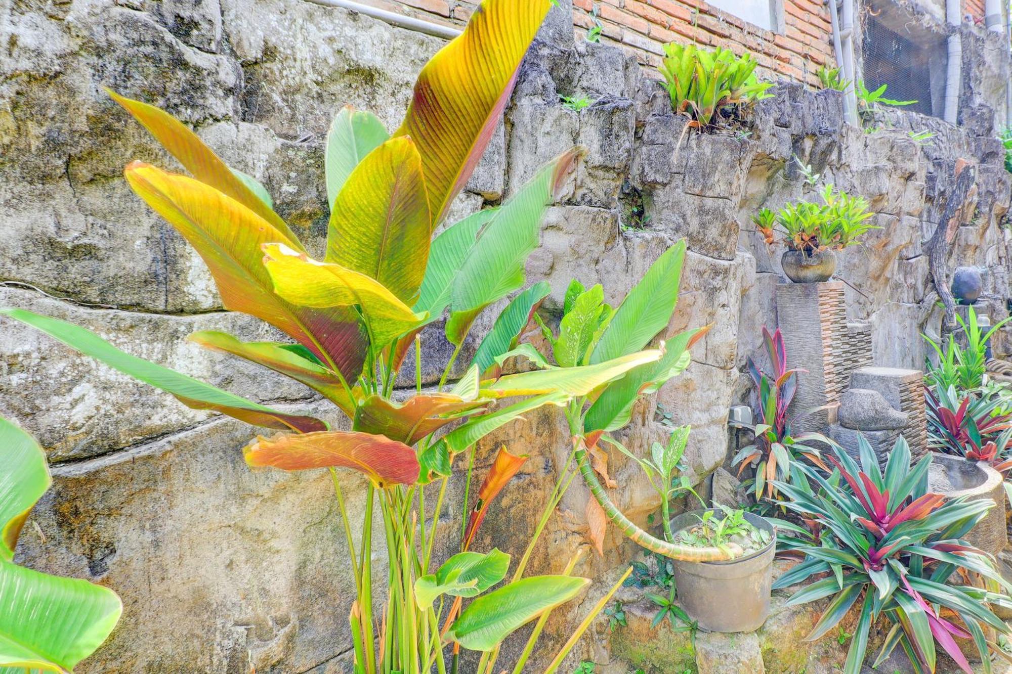 Hotel O Ubud Asri Homestay Near Monkey Forest Exteriér fotografie