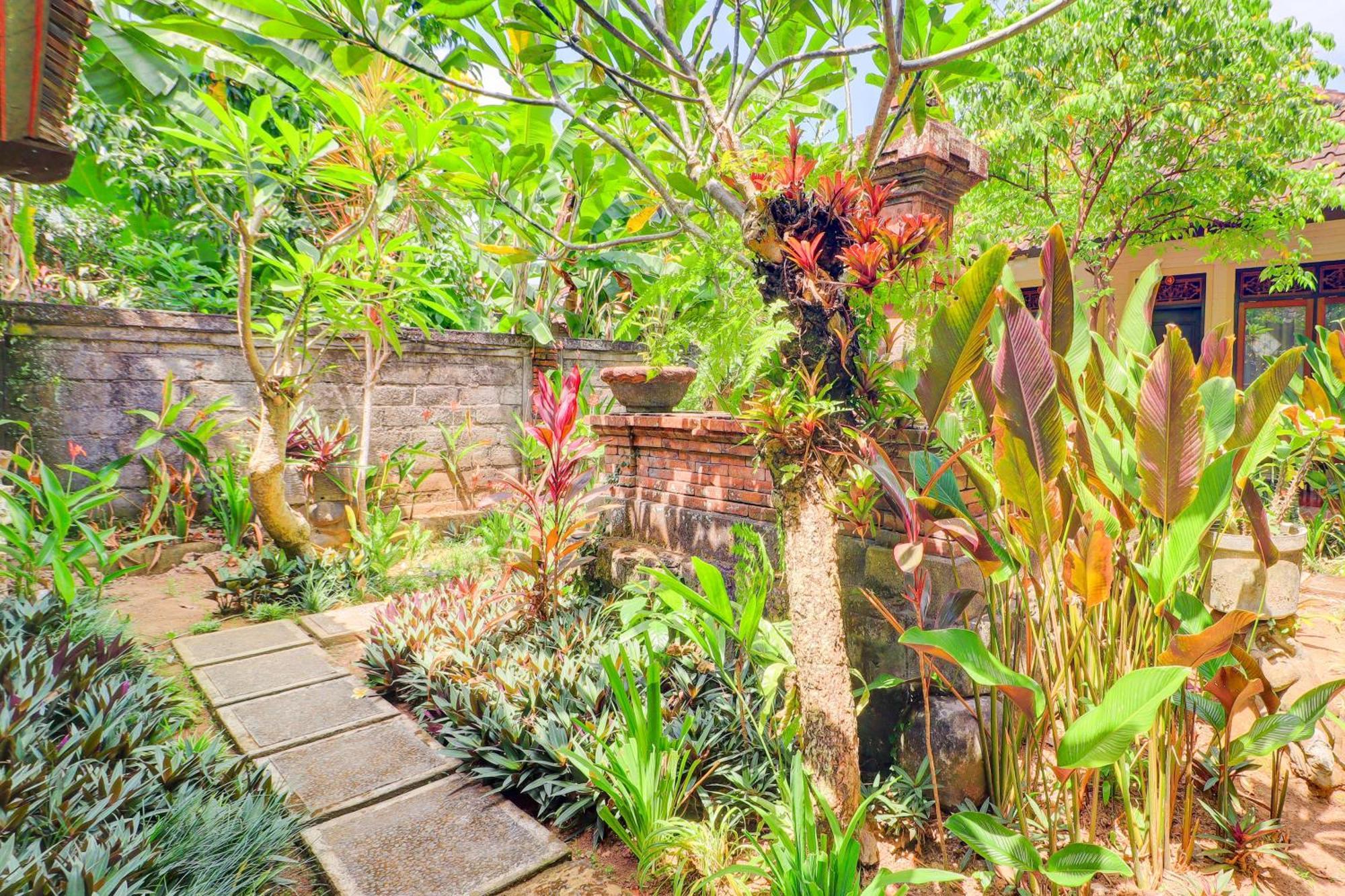 Hotel O Ubud Asri Homestay Near Monkey Forest Exteriér fotografie